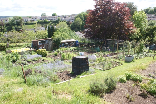 Butcher Park Hill Allotments