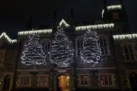 Trees of Light