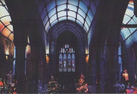 Christmas Tree Festival Picture