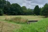 Green Burial Meadow - Annual Scythe August 2023  
