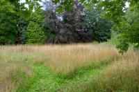 Green Burial Meadow - Annual Scythe August 2023   