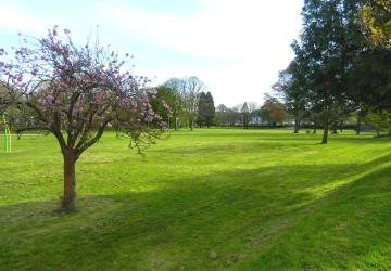 The Meadows in Tavistock
