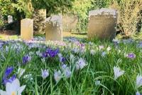 Dolvin Road Cemetery