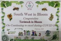 Tavistock in Bloom