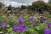 Tavistock Sensory Garden