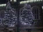 Town Hall Christmas Trees
